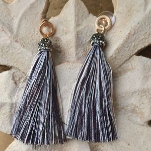 🌼🌸HP🌸🌼 Black and silver tassel earrings